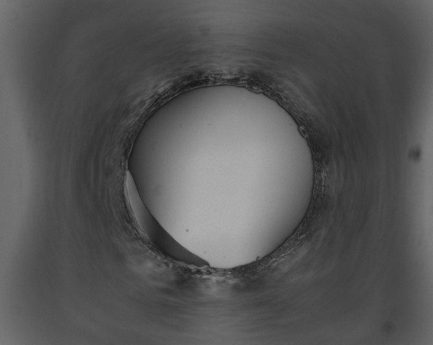 X0000093440961200710191037