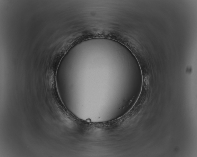 X0000093440963200710191037