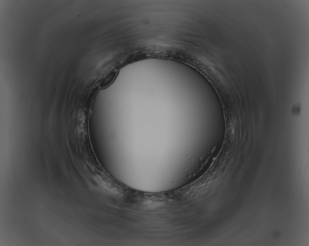 X0000093440964200710191037