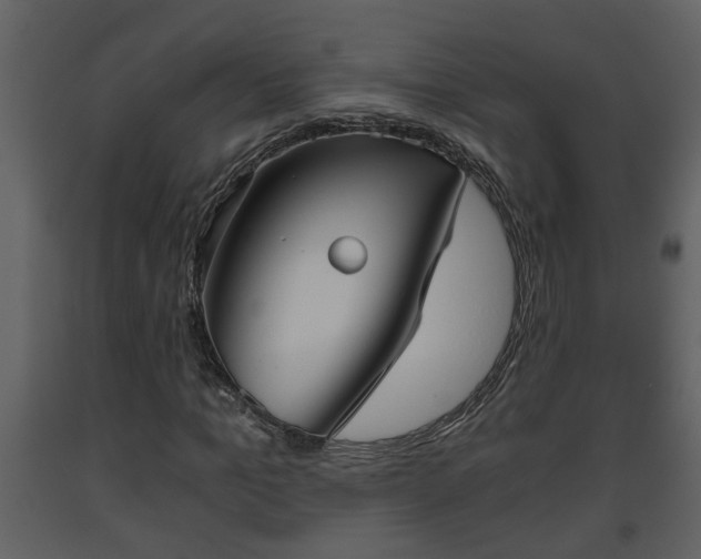 X0000093440965200710191037