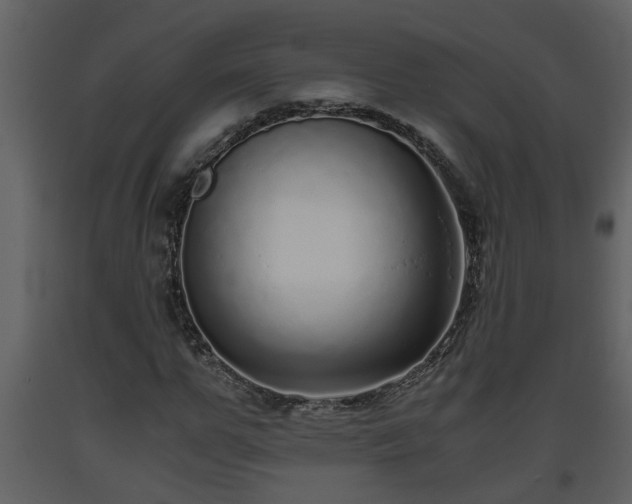 X0000093440967200710191037