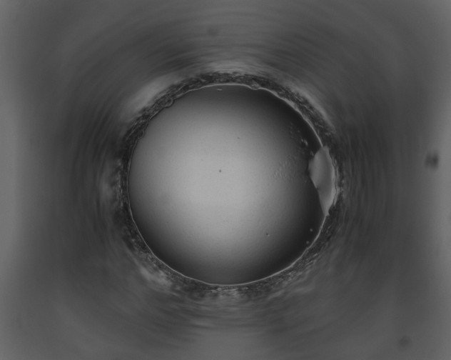 X0000093440968200710191037