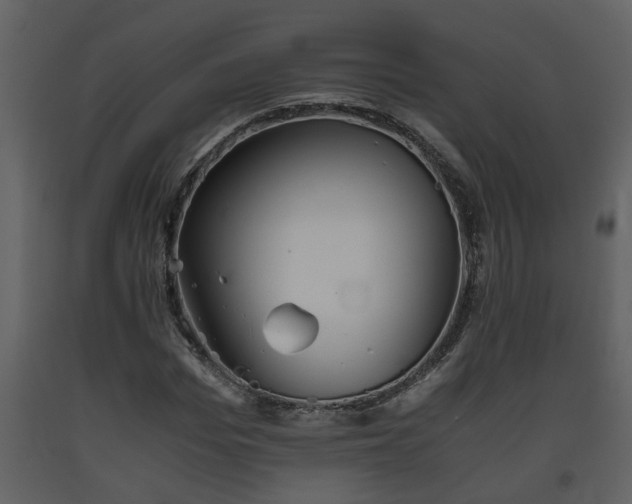 X0000093440969200710191037