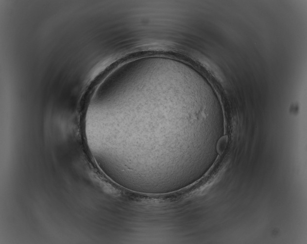X0000093440970200710191037