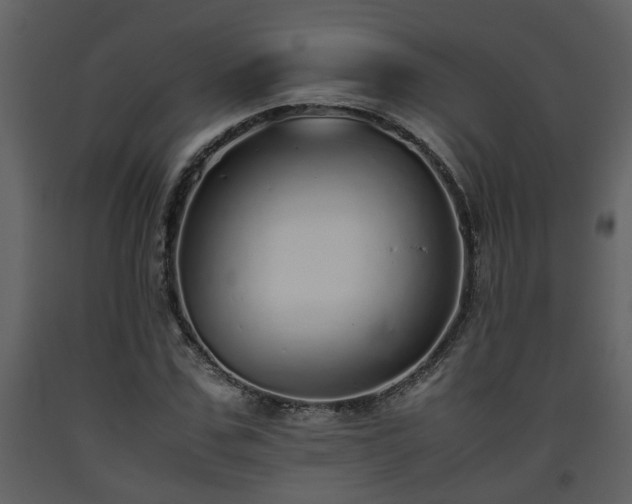 X0000093440971200710191037
