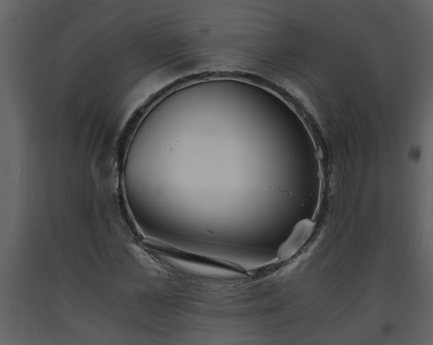 X0000093440973200710191037