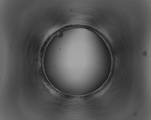 X0000093440974200710191037