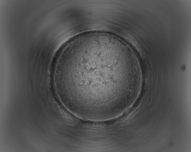 X0000093440975200710191037