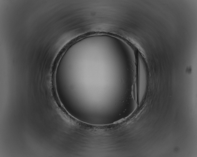 X0000093440976200710191037
