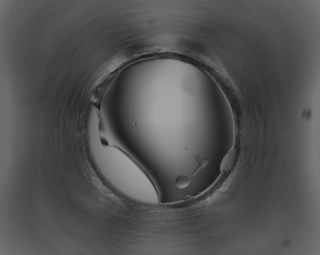 X0000093440977200710191037