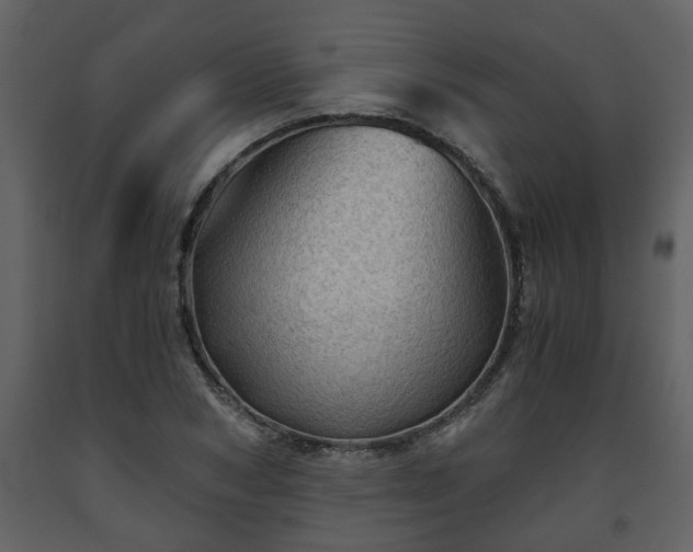 X0000093440978200710191037