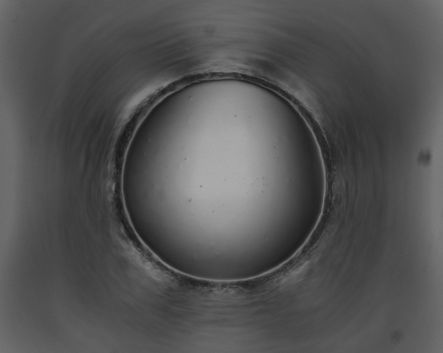 X0000093440979200710191037
