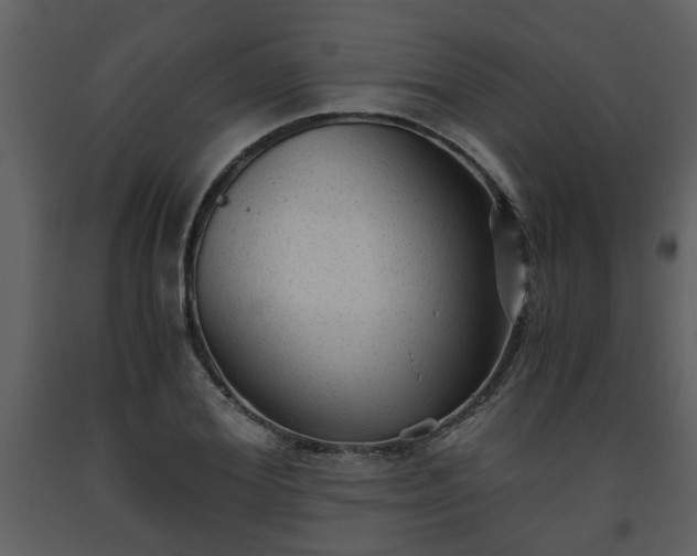 X0000093440980200710191037