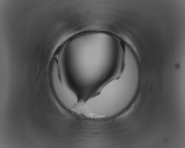 X0000093440981200710191037