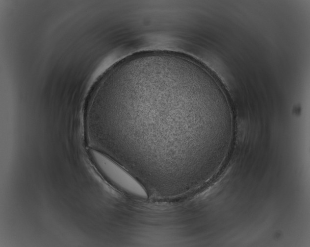 X0000093440982200710191037