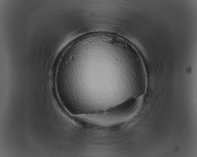 X0000093440983200710191037
