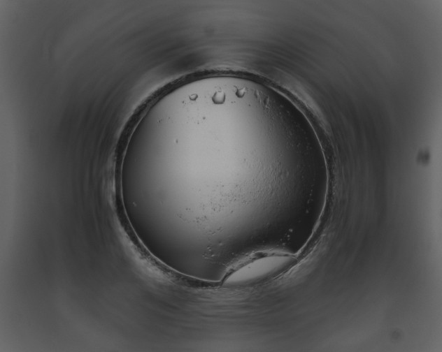 X0000093440984200710191037