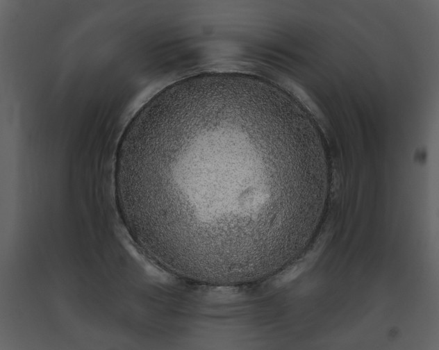 X0000093440986200710191037
