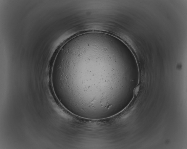 X0000093440987200710191037