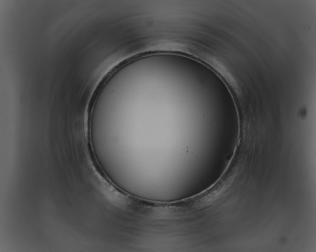 X0000093440988200710191037