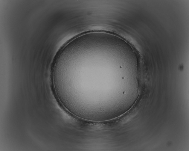 X0000093440991200710191037