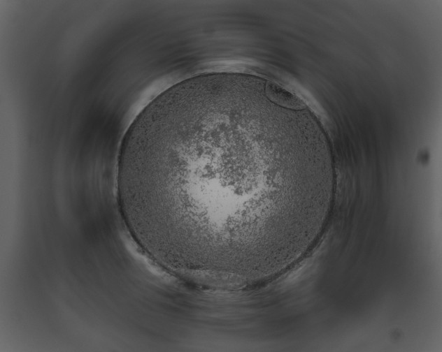 X0000093440994200710191037