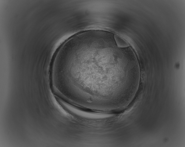 X0000093440995200710191037
