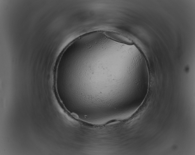 X0000093440999200710191037