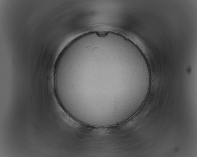 X0000093441000200710191037