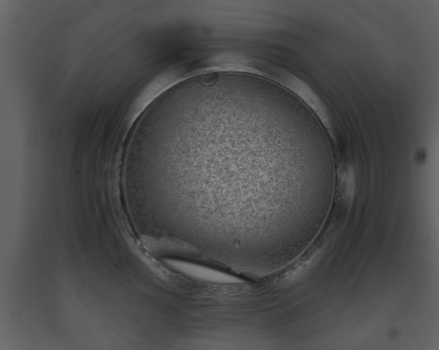 X0000093441002200710191037