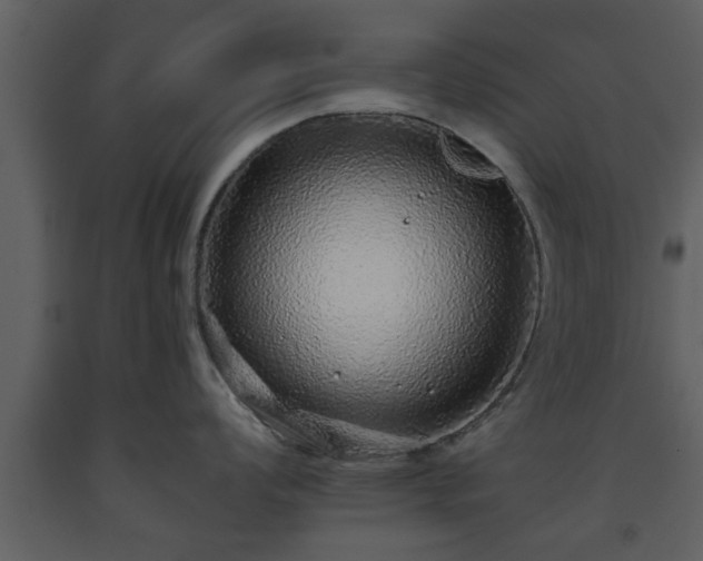 X0000093441008200710191037