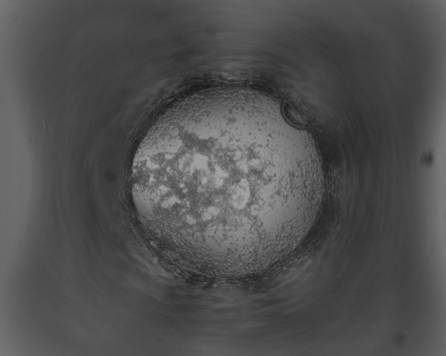 X0000093441009200710191036