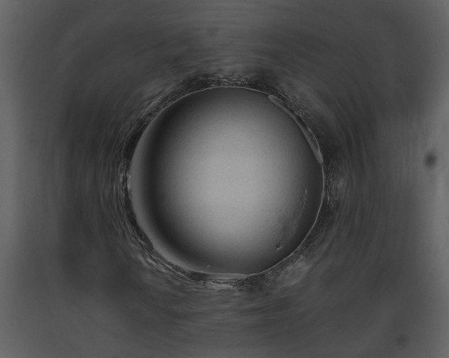 X0000093441010200710191036