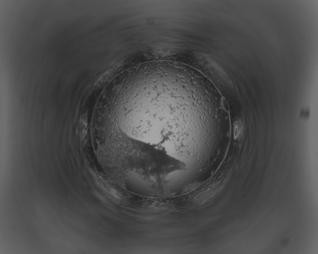 X0000093441011200710191036