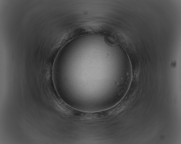 X0000093441012200710191036