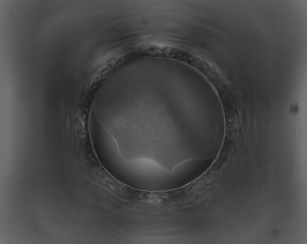 X0000093441013200710191036