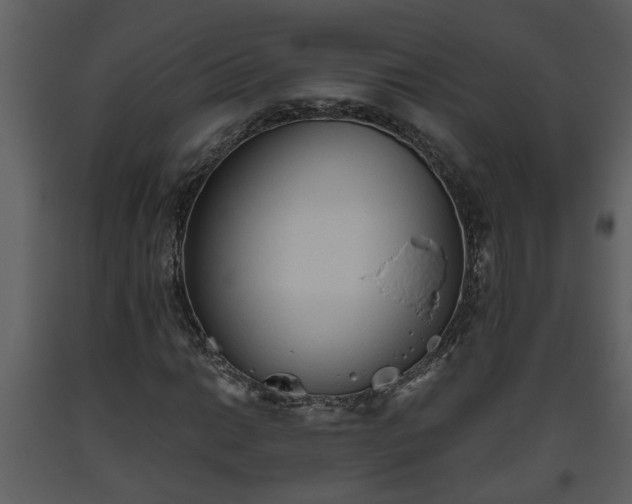 X0000093441014200710191036