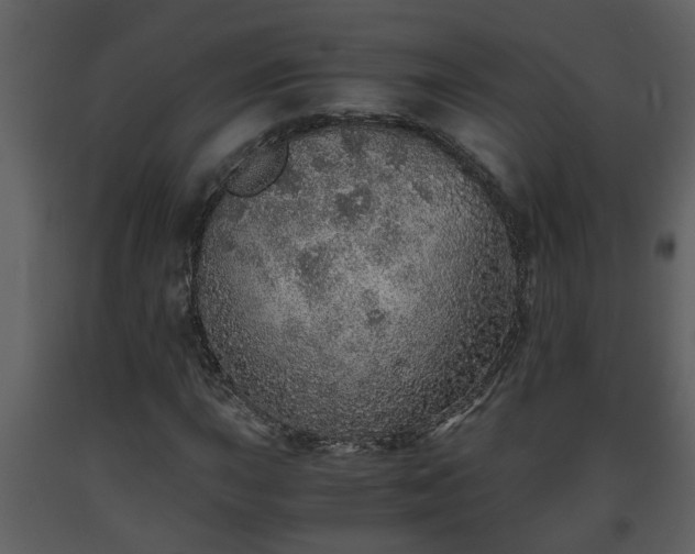 X0000093441015200710191036