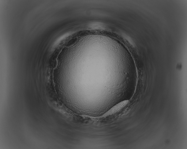 X0000093441016200710191036