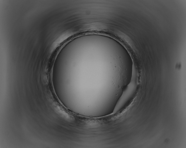 X0000093441018200710191036