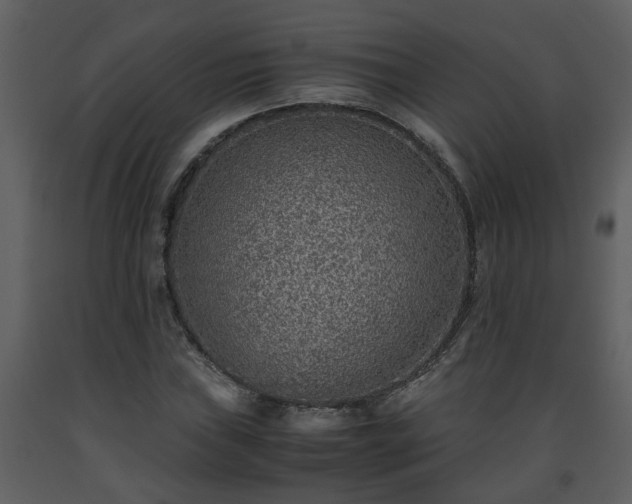X0000093441019200710191036