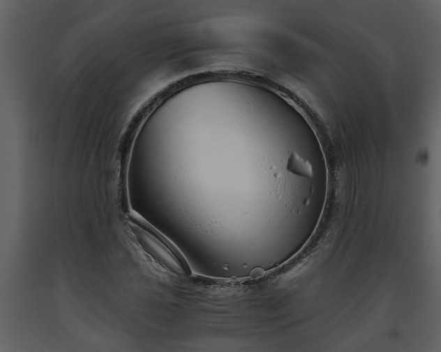 X0000093441021200710191036