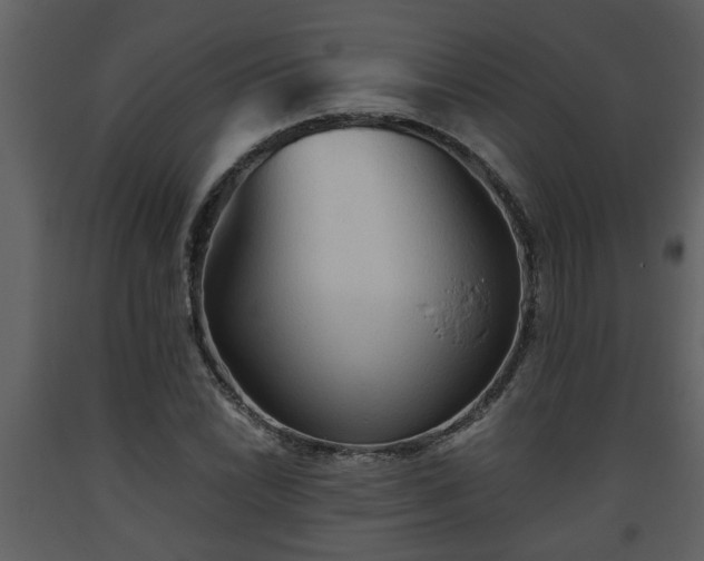 X0000093441022200710191036