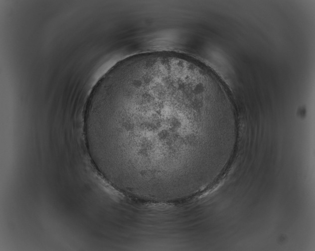 X0000093441023200710191036
