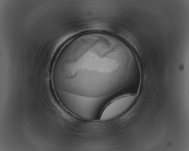 X0000093441024200710191036