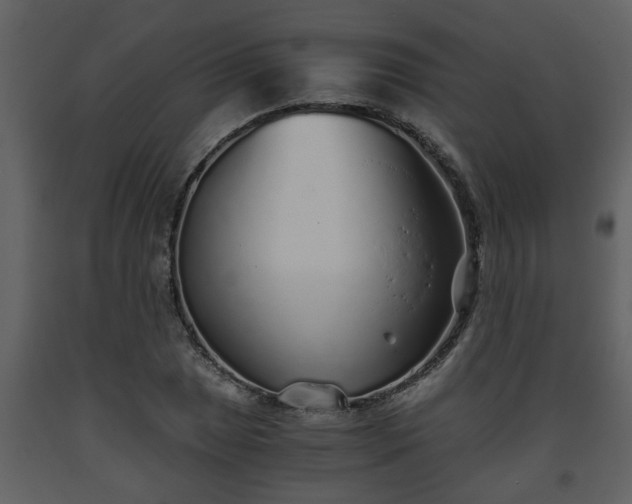 X0000093441025200710191036