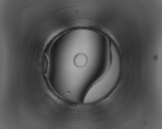 X0000093441026200710191036