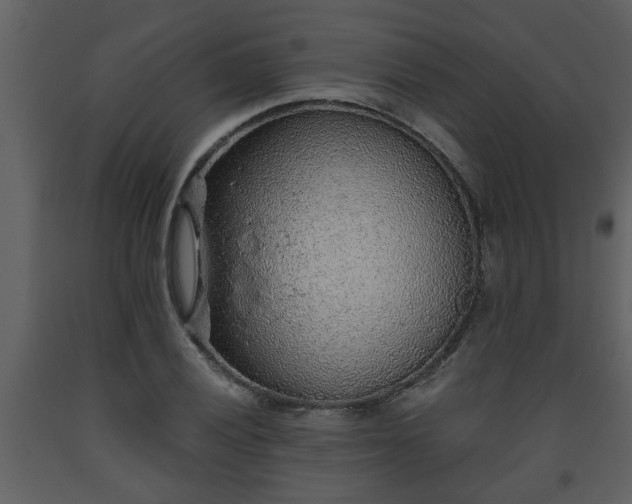 X0000093441028200710191036