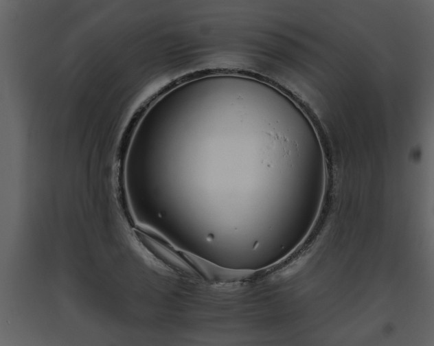 X0000093441029200710191036