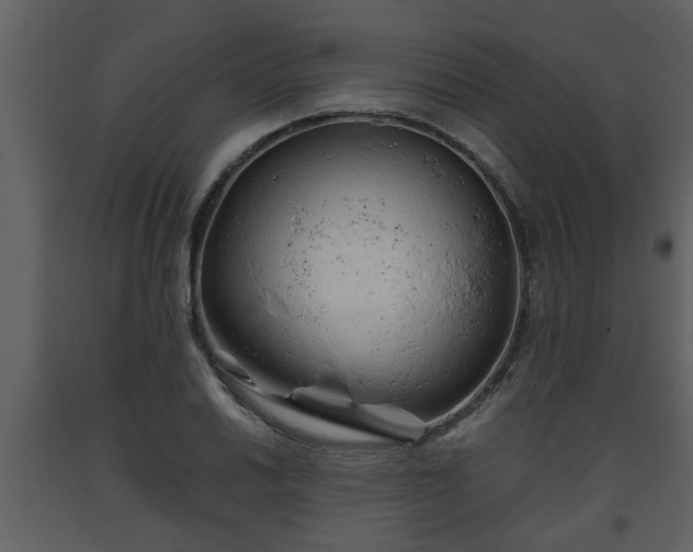 X0000093441030200710191036